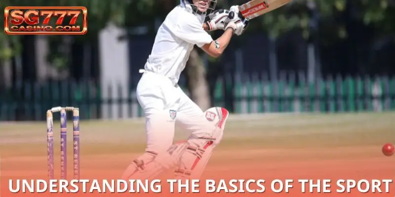 Reasons to join explained in cricket betting